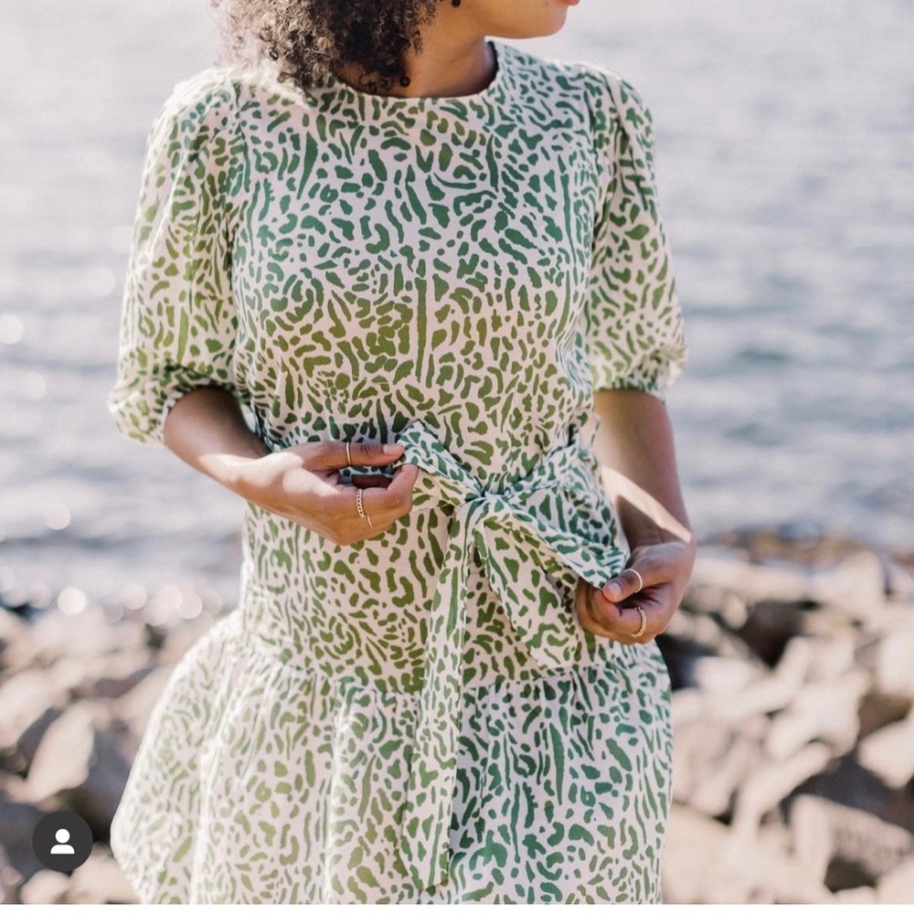 LaRoque Drop waist Puff Sleeve Dress Size S $40